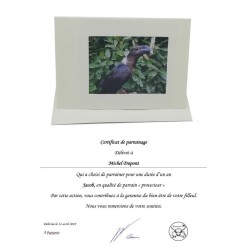 Parrainage "bienfaiteur"