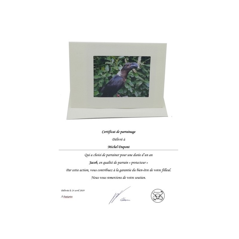 Kopie van Parrainage "donateur"