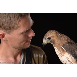 Atelier privé "A la découverte des rapaces et des animaux"