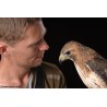 Atelier privé "A la découverte des rapaces et des animaux"