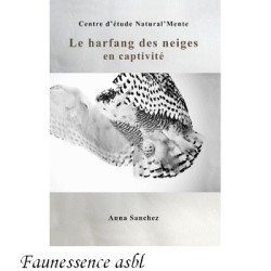 Le harfang des neiges en captivité