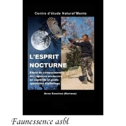 L'Esprit nocturne
