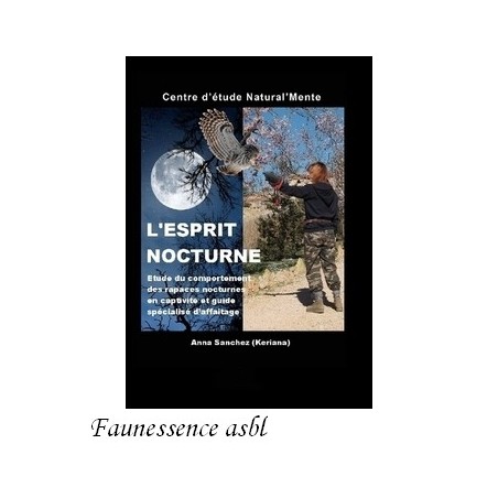 L'Esprit nocturne