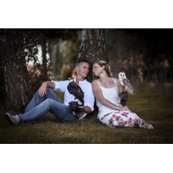 Shooting Photo Privé avec Rapaces